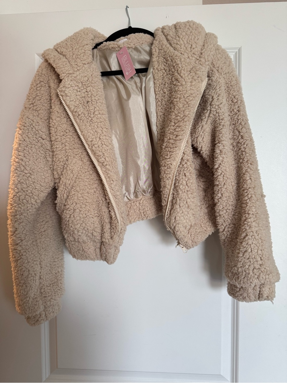 Blush Beige Sherpa Hooded Zip Jacket